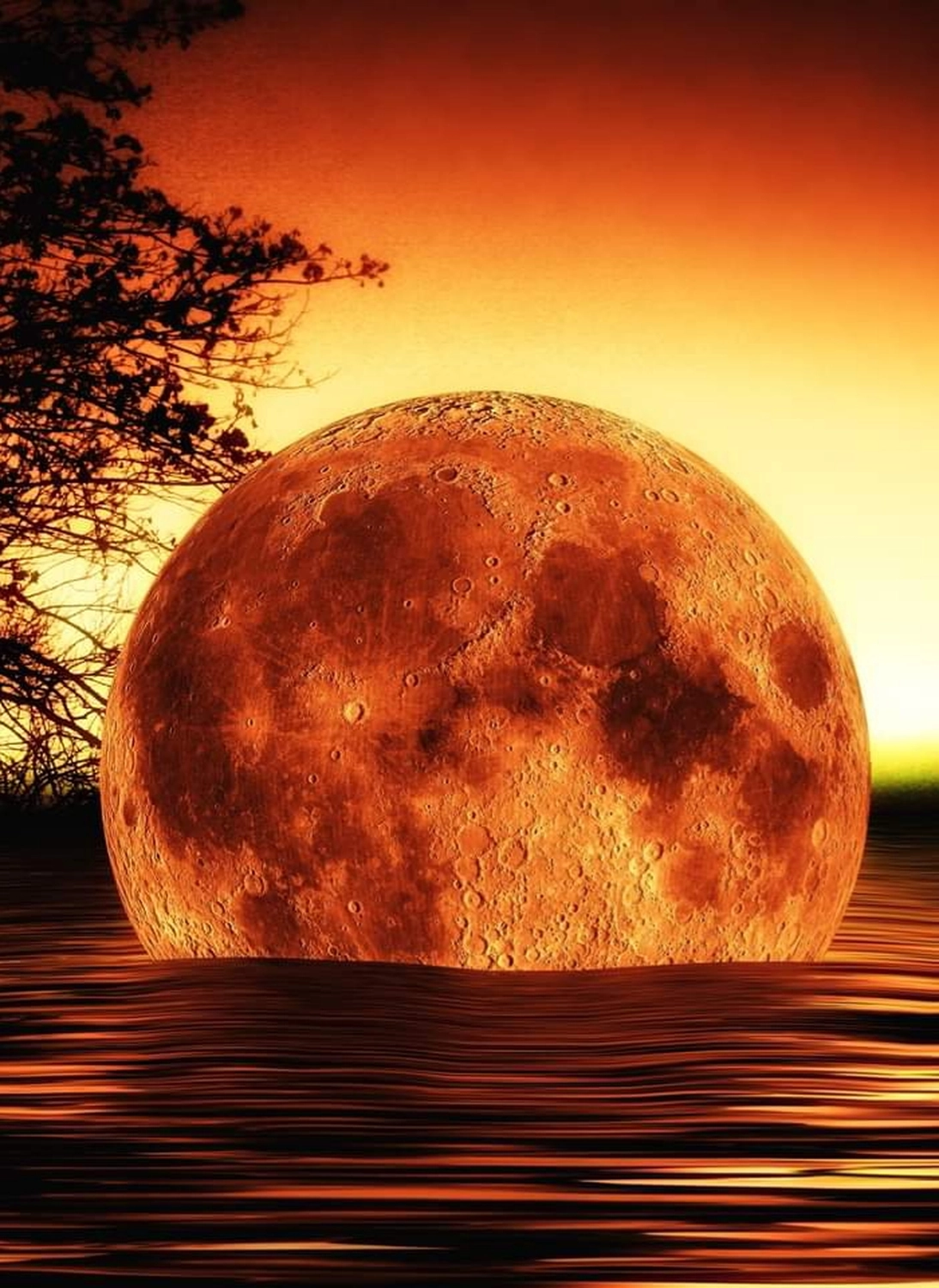 Liveadvice – Mond im Wasser