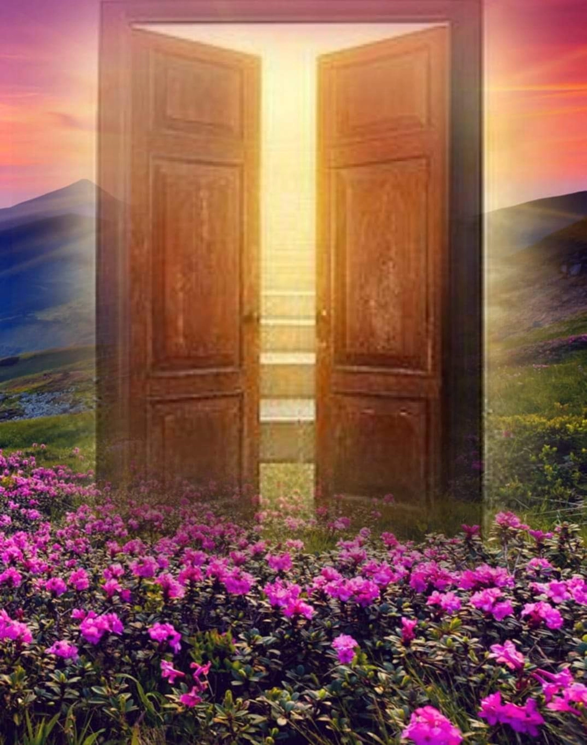 Liveadvice - offene Tür in einer natürlichen Landschaft